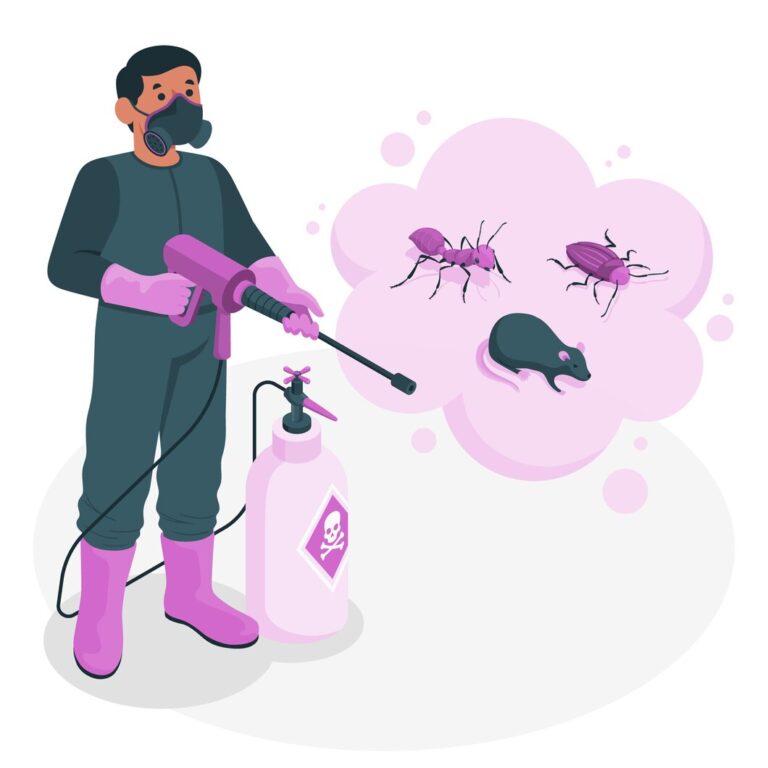 Why Cockroaches Increase During Ramadan | Pest Control